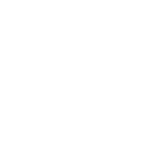 Bristle Buddy